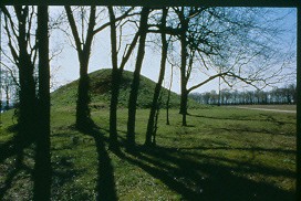 A mound covered with green grass stands behind a group of trees.