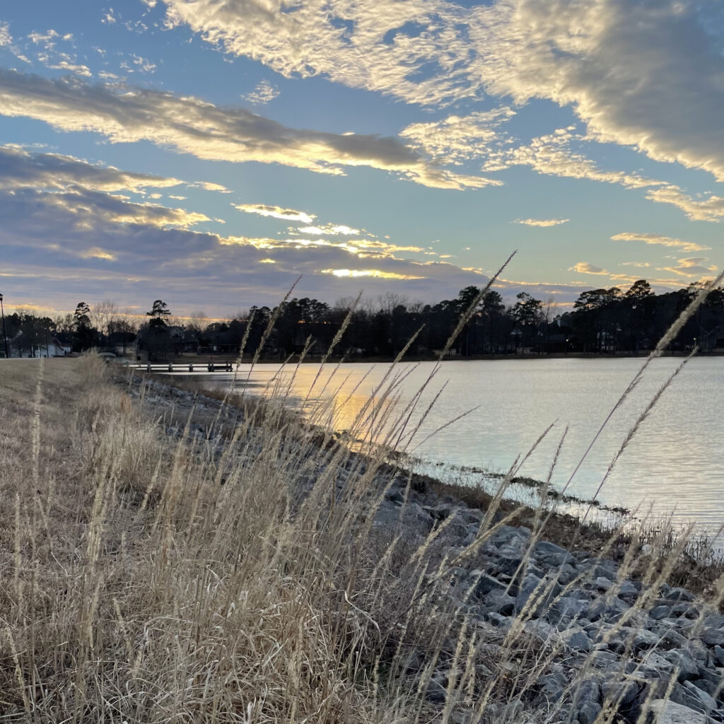 Looking through tall sprigs of grass along the shore toward a body of water with orange and blue reflecting from the sky.