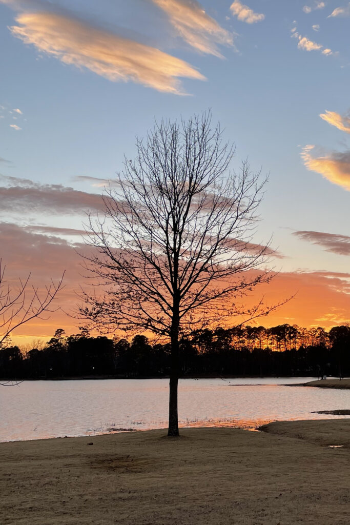 A small tree stands on the shore. Through it can be seen a bright orange horizon and above that a blue sky. Hints of the orange and blue sky can be seen on the ripples of the lake.