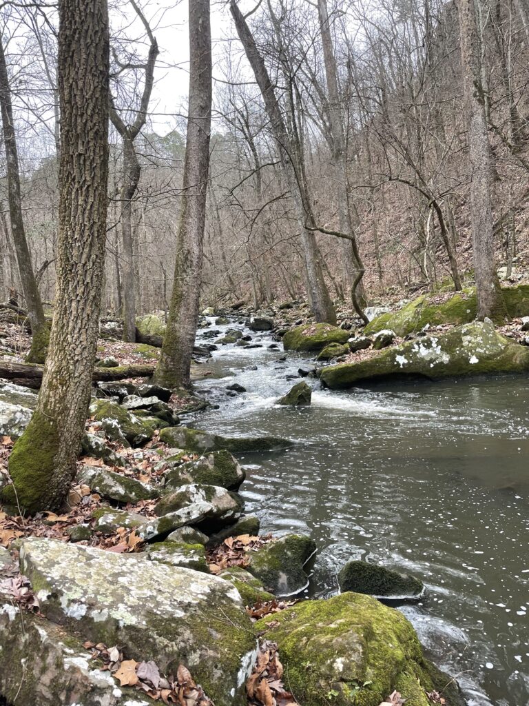 A creek flows rapidly over large boulders. It flows between boulders and trees with a large hill on the far side.