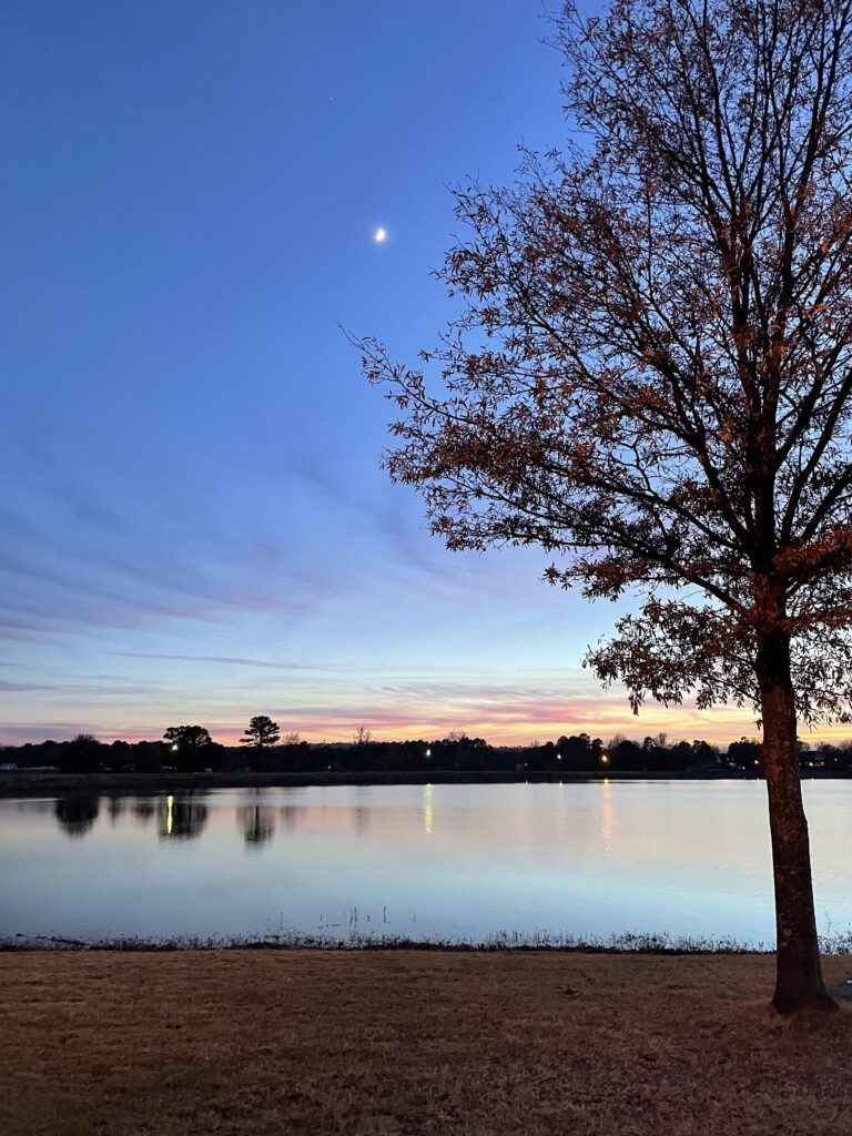A tree on the edge of a lake is in the foreground at sunset. The moon can be seen in a bright blue sky. Pink and yellow clouds float on the horizon