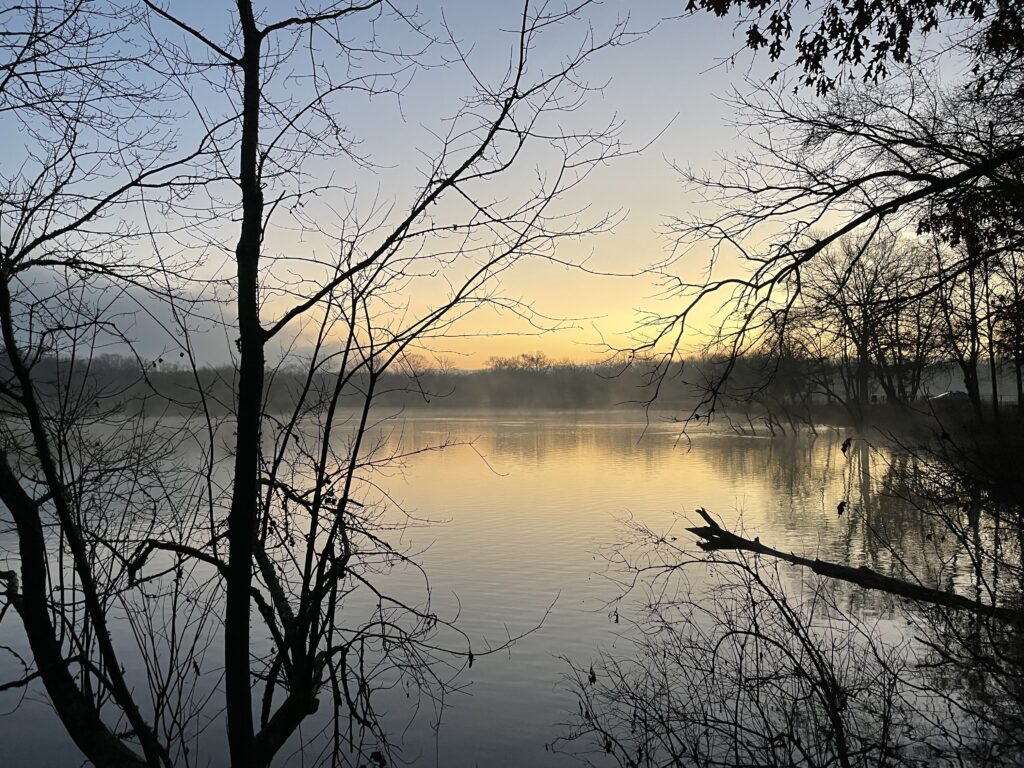 Looking through trees and shrubs toward a lake with light yellow and orange colors on the horizon reflecting in the lake below