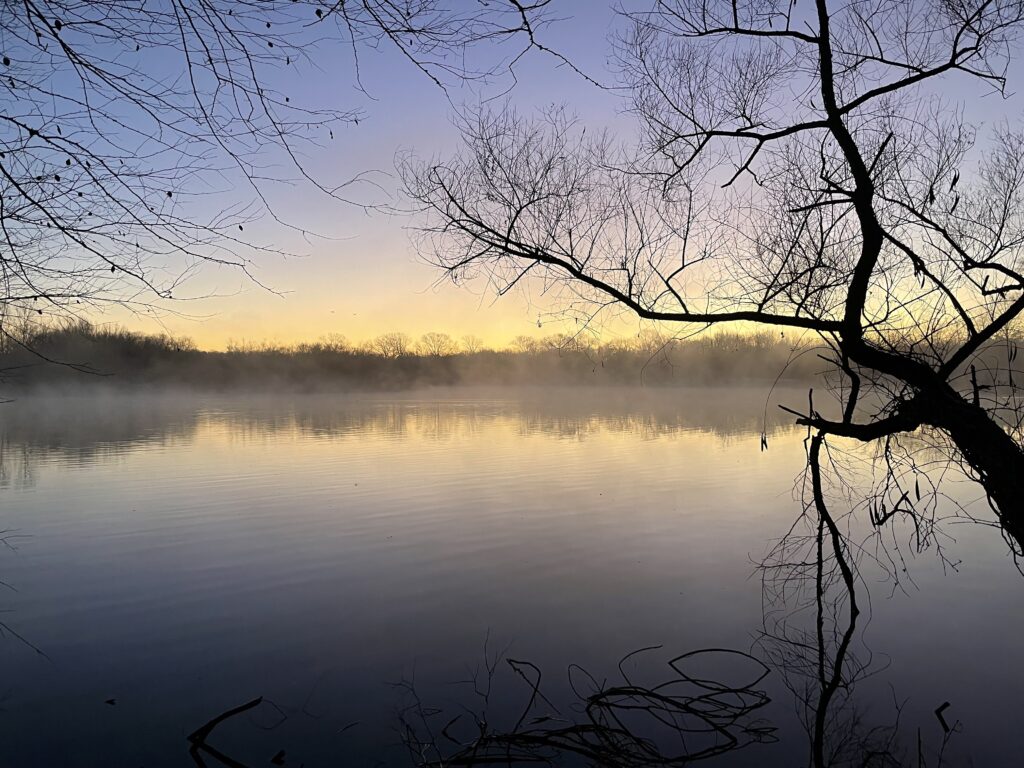 A misty lake lined with trees on the shoreline and a silhouette of a tree nearby. The sky is purplish blue with yellow on the horizon