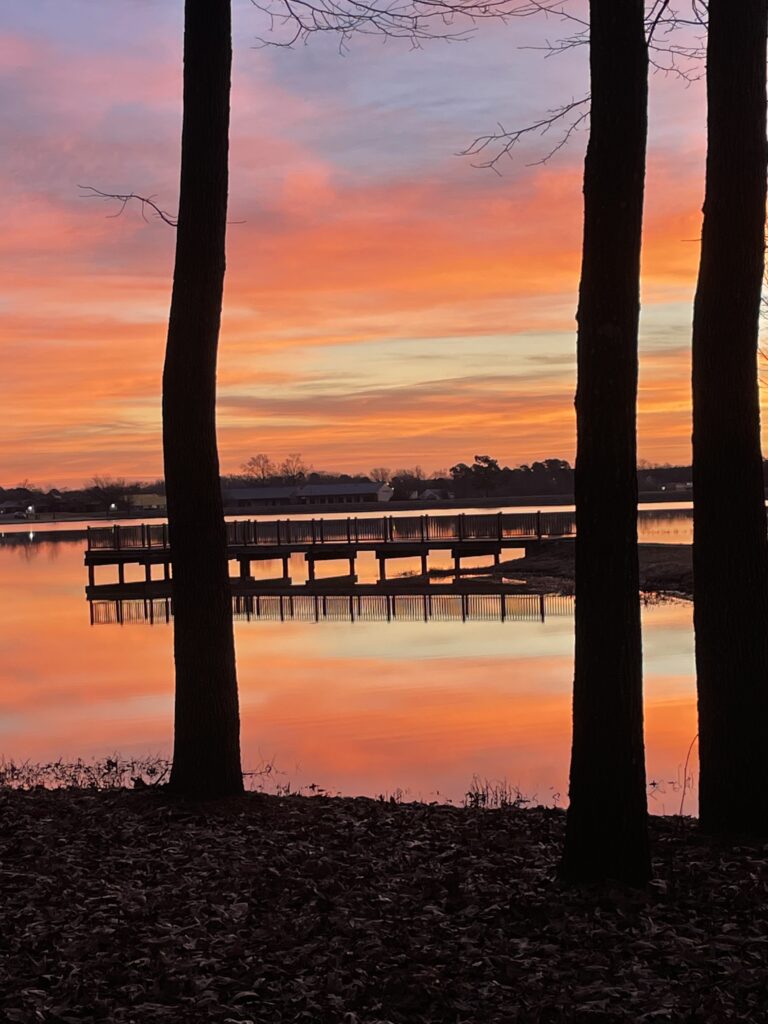 Looking between several trunks of trees on a shoreline, a long pier is viewed and reflecting in the lake. The sky of bright orange and pinks reflects in the water below