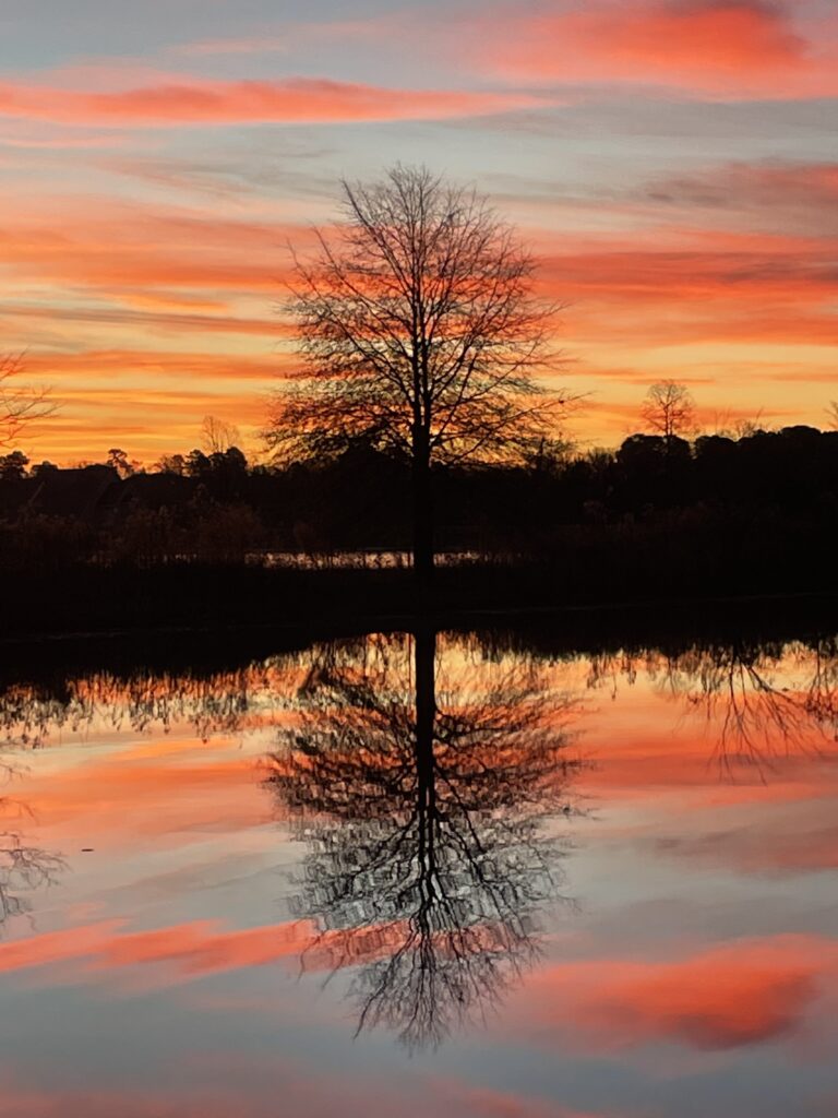 Bright reddish orange clouds silhouette a tree and reflect in the water below.