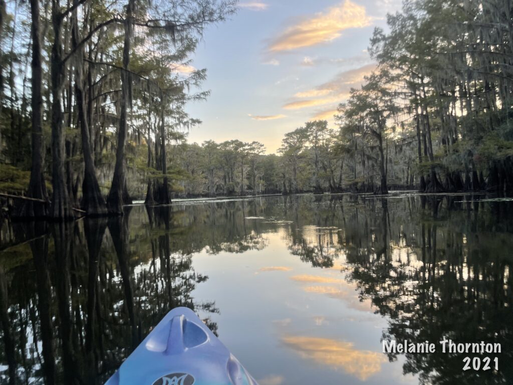 The nose of a kayak pointed toward cypress trees surrounding a body of water. Blue sky and clouds reflect in the water.