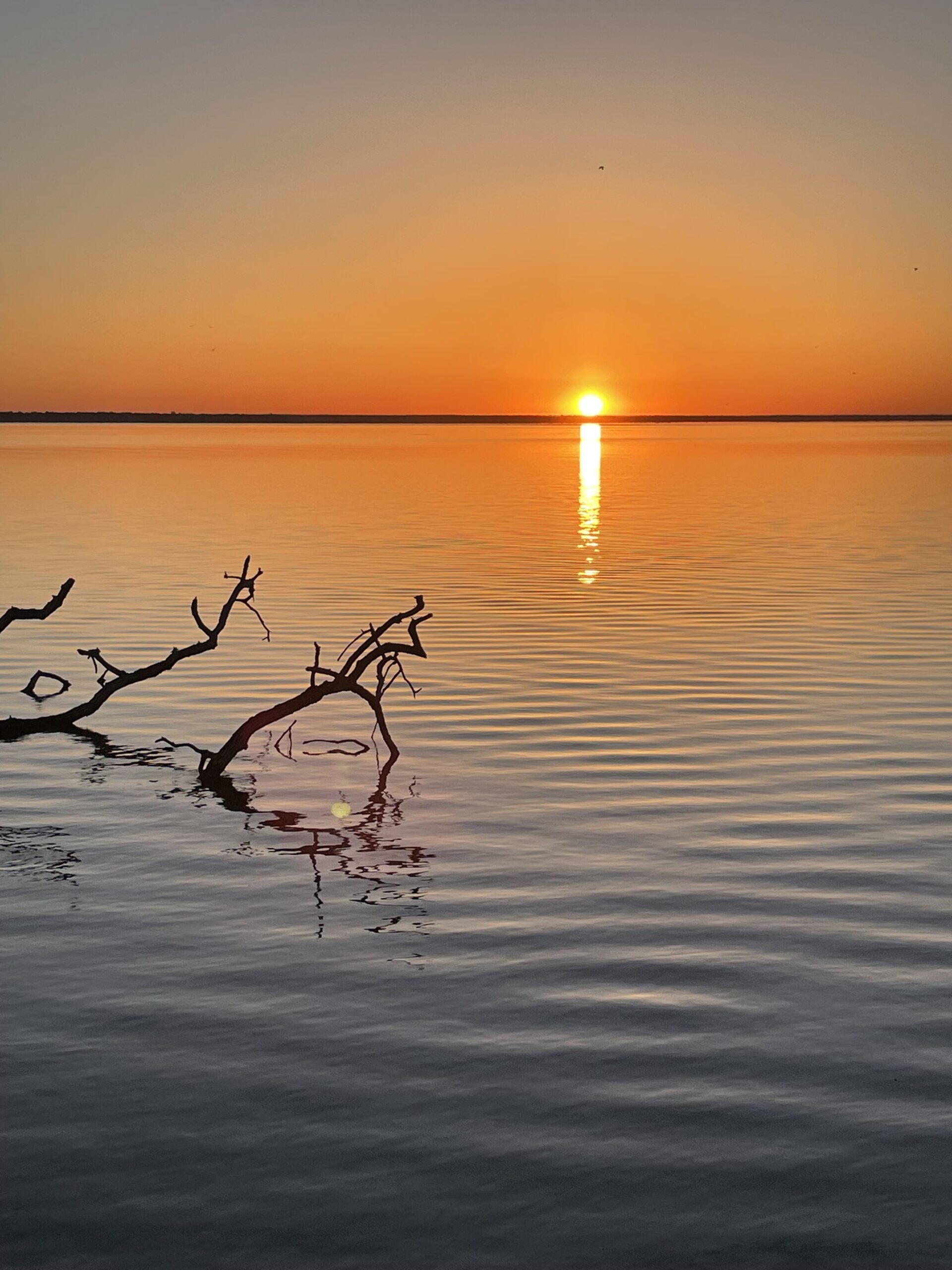 A bright yellow half circle of a sun rests on the horizon and casts bright yellow line into the water. A thin strip of land separates the sky from the water. Both are bright orange differing only by a slight ripple on the water. Nearby two limbs from a dead bush extend above the water.