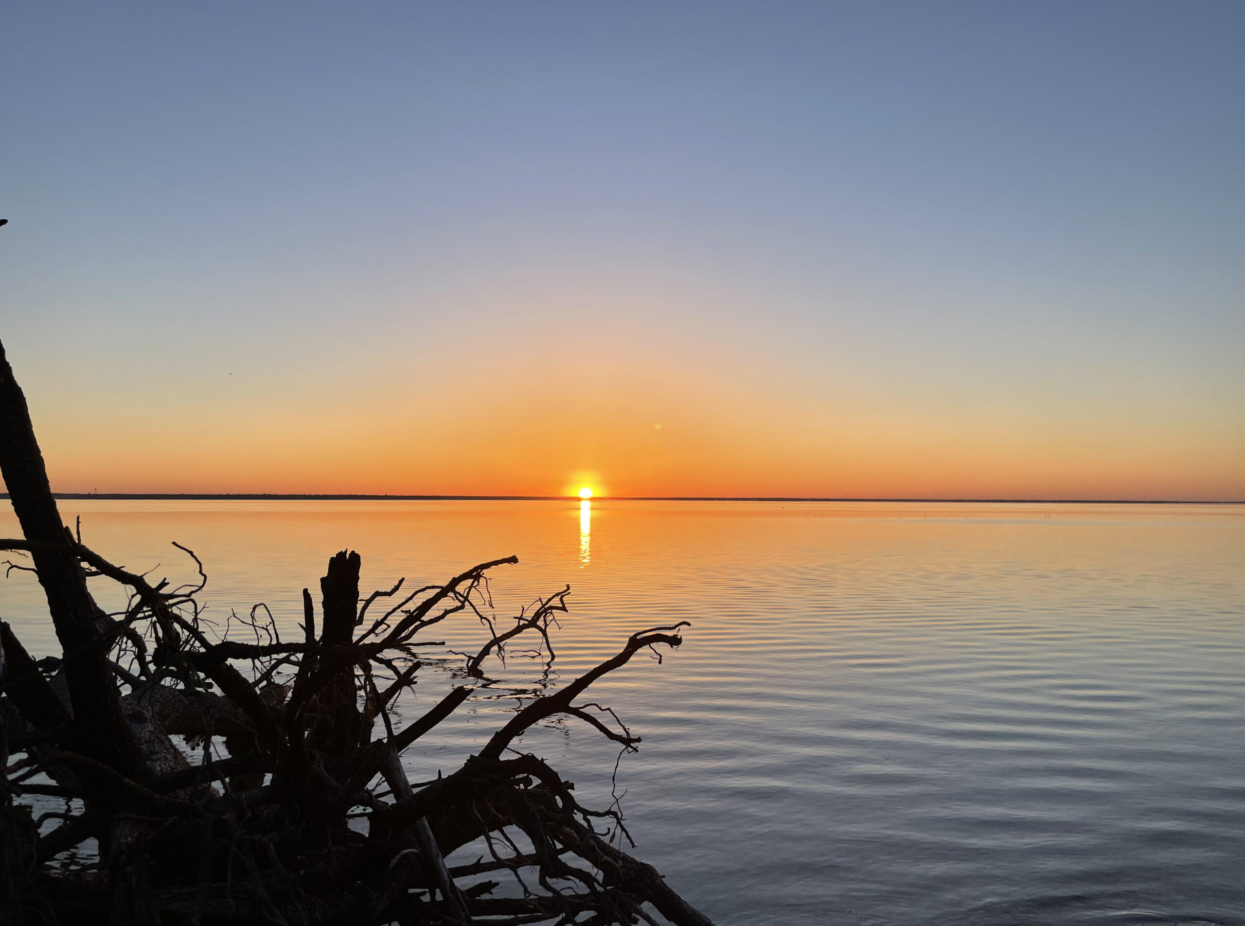 A bright yellow sun peaks over the horizon and casts bright yellow strip onto the water. A thin strip of land separates the sky from the water. Both are bright orange fading to yellow and then blue differing only by a slight ripple on the water. Nearby several limbs from dead bushes and trees extend above the water.