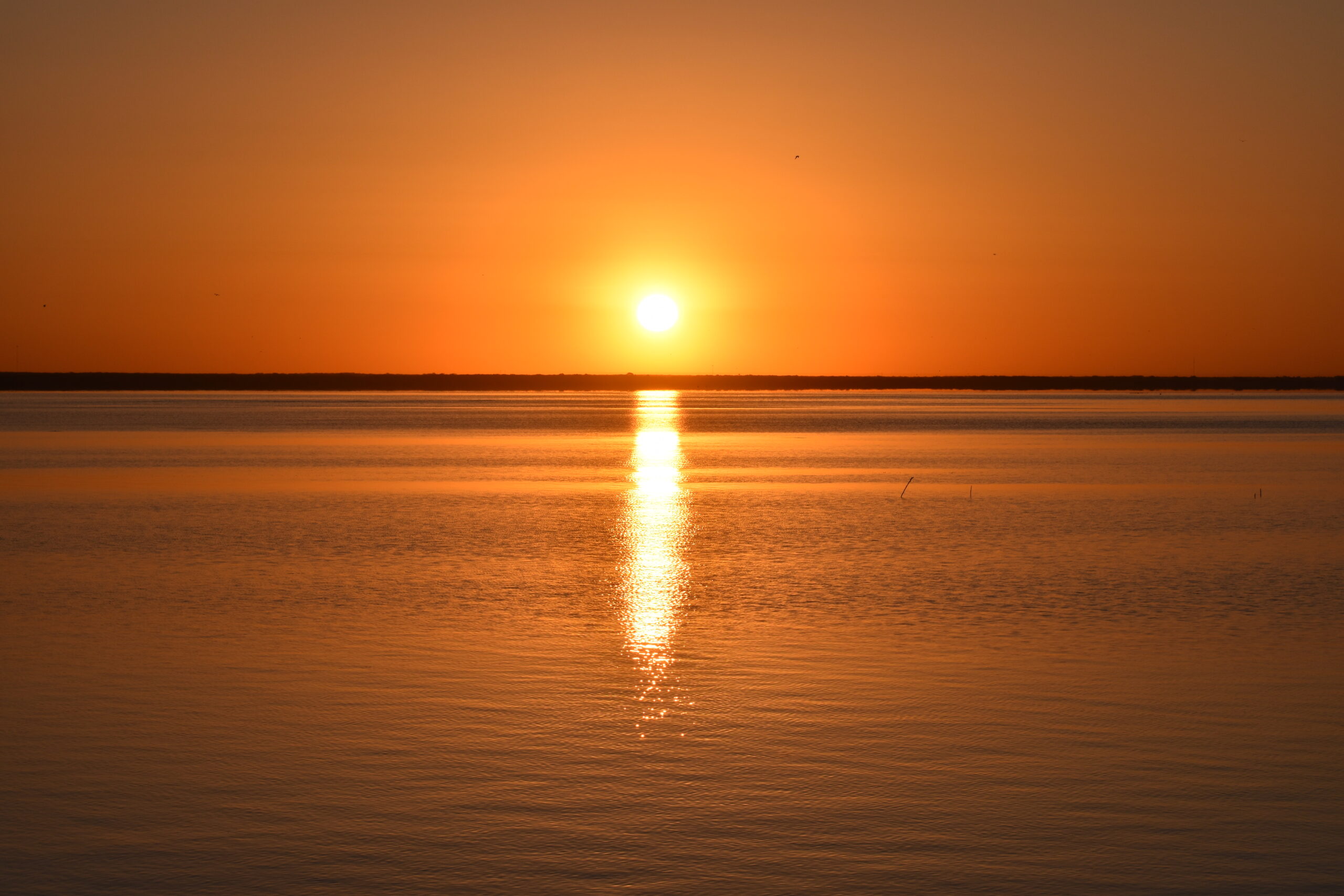 A bright sun sits just above the horizon and casts a strip of bright yellow onto the water. A thin strip of land separates the sky from the water. Both are bright orange differing only by a slight ripple on the water.