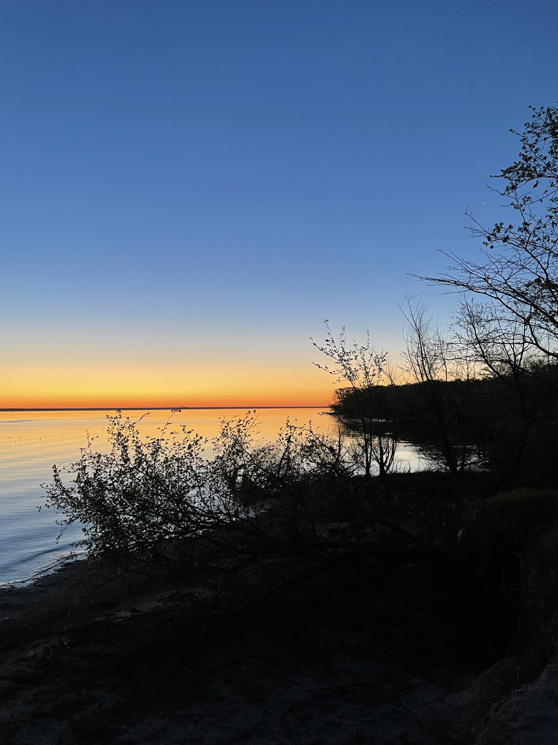 A colorful sky above a body of water is orange at the horizon fading to yellow and then a deep blue higher up. The water below reflects the colors of the sky. The shoreline with bushes and trees are a black silhouette.