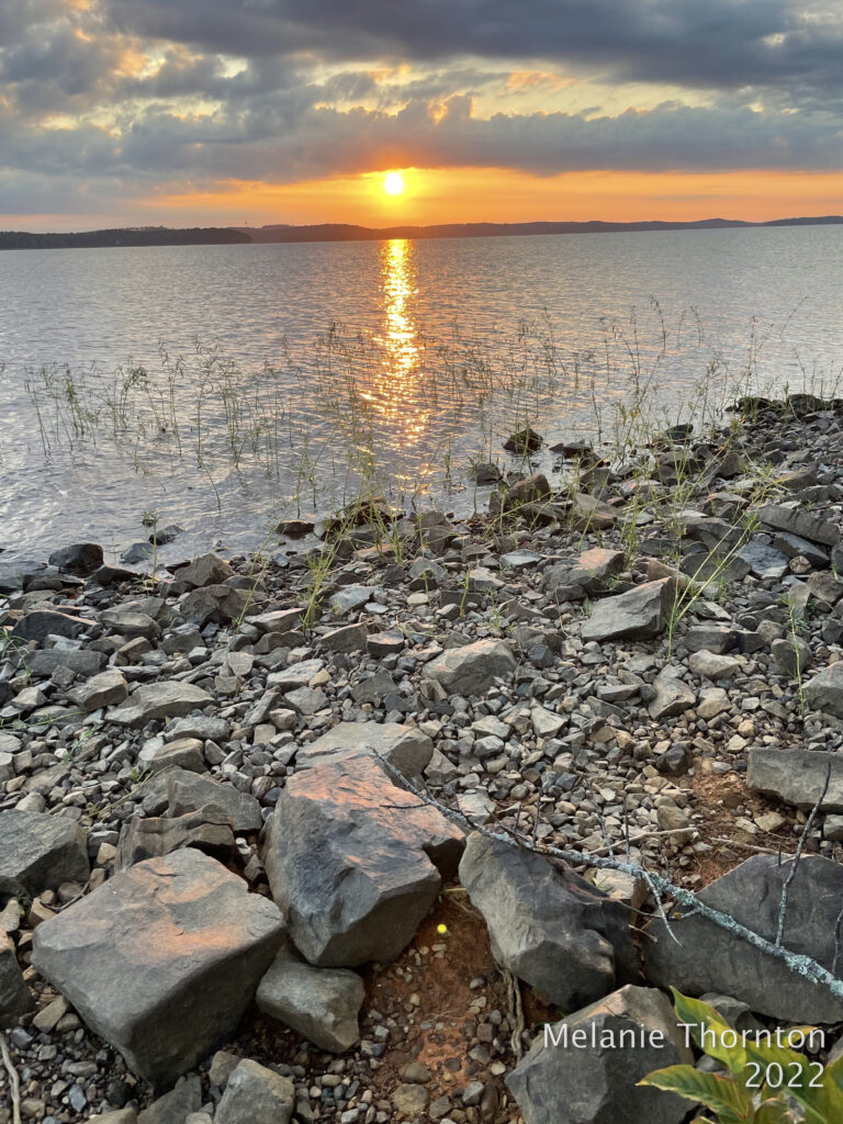 A bright yellow sun rests just above the horizon where trees line a large body of water. The sky is brought yellow and orange with grayish-blue clouds higher up. The sun casts a long reflection on the rippling water that comes directly toward us. Where we stand on a rocky shore, small plants grow at the water's edge.