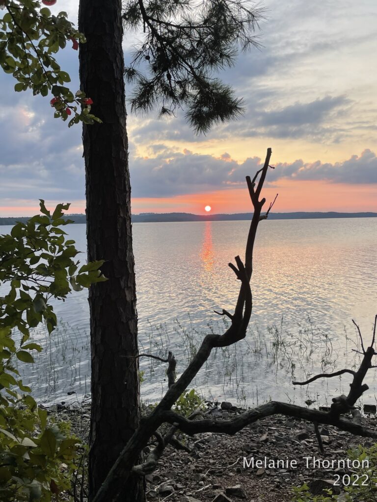 Looking between a tree and a dead branch of a fallen tree across a large body of water where the sun sits just above the horizon against an oranges-pnk sky with grayish blue clouds above. 