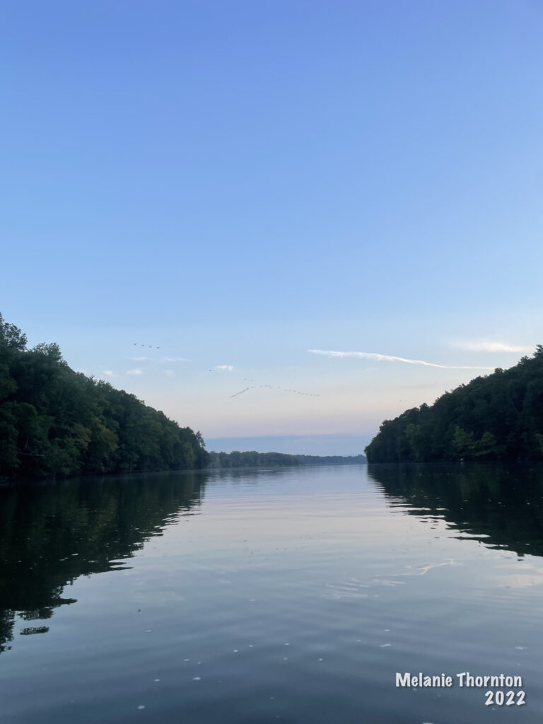 A body of water is lined on both sides with trees. A light blue sky with hints of pink reflects in the water below.