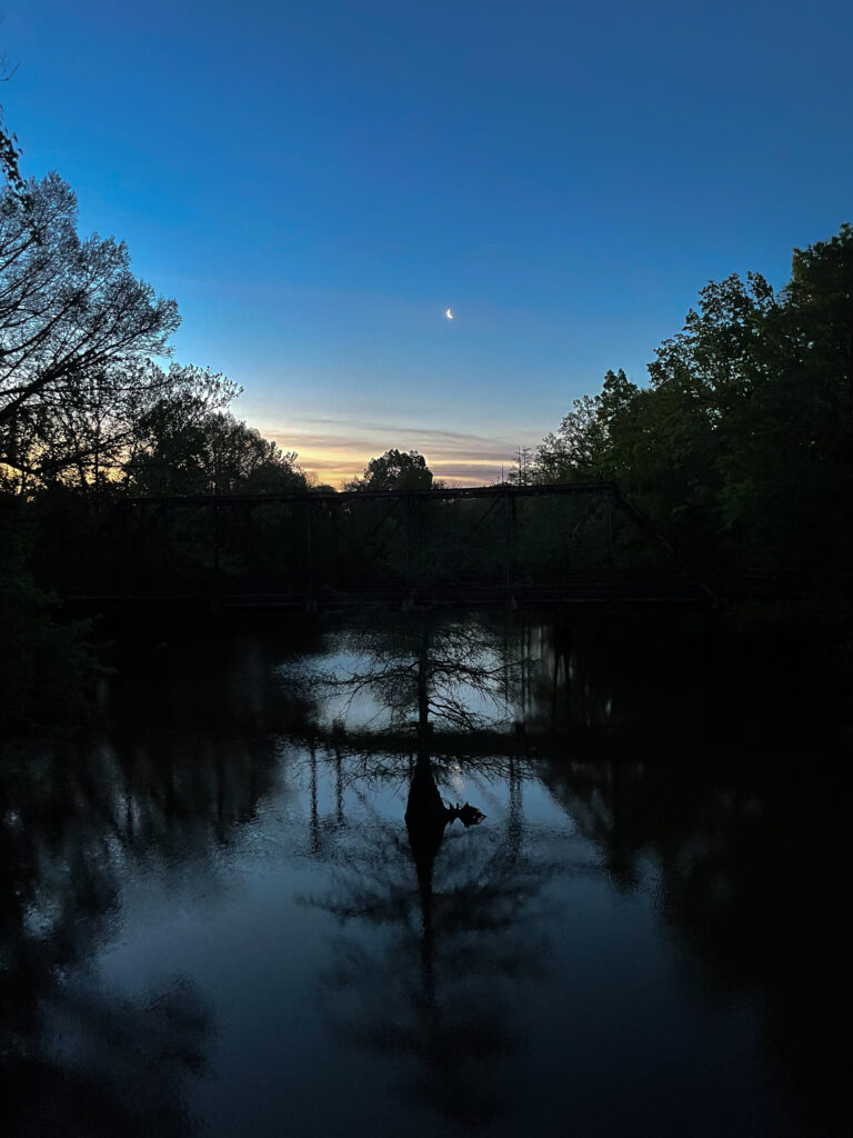 A quarter moon rests in a deep blue sky above a body of water with a cypress tree growing in the middle of it and lots of trees surrounding it. 