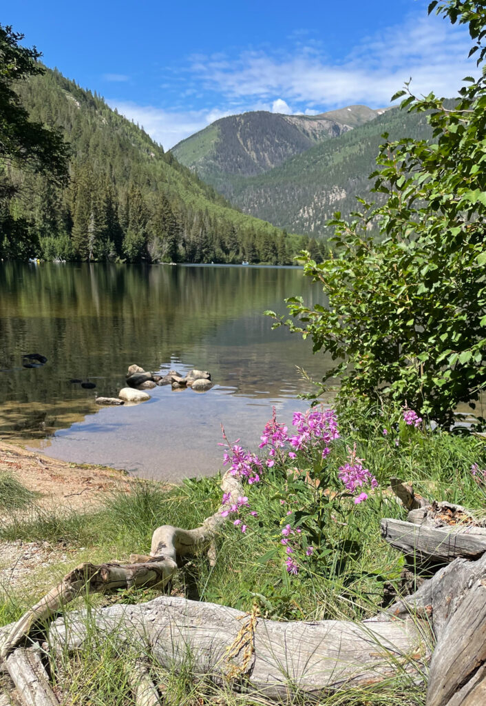 A calm lake restyle among tall mountains. Nearby bright pinkish-purple flowers grow among grass and fallen logs.