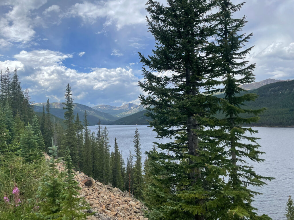 A large lake is nestled among several mountain ridges--some tree covered and other distant rocky peaks. Evergreen trees and purple grow nearby from a rocky slope.